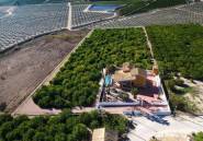 Revente - Finca -
Orihuela