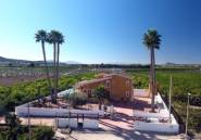 Revente - Finca -
Orihuela