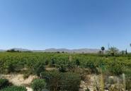 Revente - Country House -
Albatera