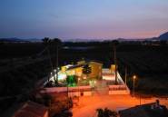 Revente - Finca -
Orihuela