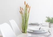 Nouvelle construction - detached -
San Javier